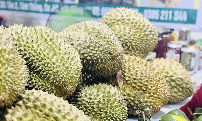 Ảnh bài viết