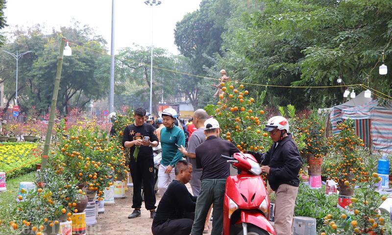 Thị trường 29 Tết ổn định, mùng 1 giá cả dự kiến ít biến động do nhu cầu giảm