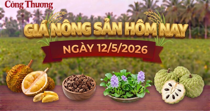 Giá nông sản hôm nay ngày 12/5: Nhiều mặt hàng giữ giá cao