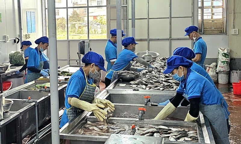 Doanh nghiệp Hải Phòng tăng tốc sản xuất, đáp ứng nhu cầu tiêu dùng Tết