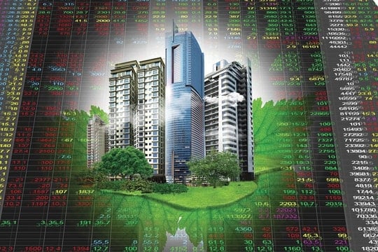 Cổ phiếu bất động sản đồng loạt khởi nghĩa, họ Vingroup cùng NVL, CII thăng hoa
