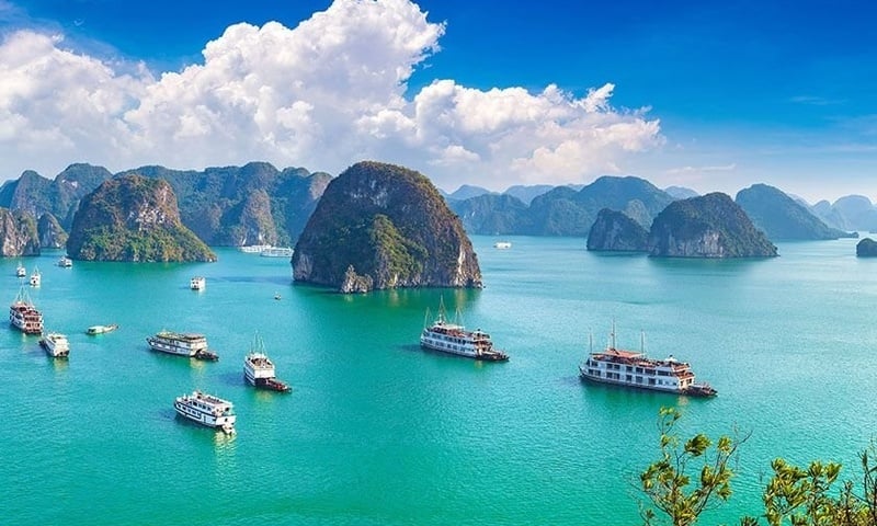 Ảnh bài viết