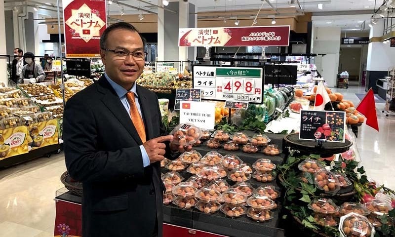 RCEP tạo thêm nhiều động lực cho hợp tác kinh tế Việt Nam - Nhật Bản