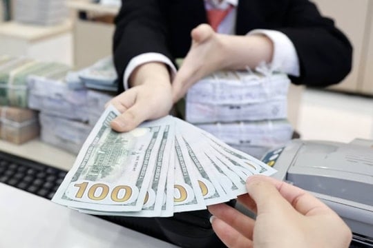 Tỷ giá USD đầu tuần ổn định