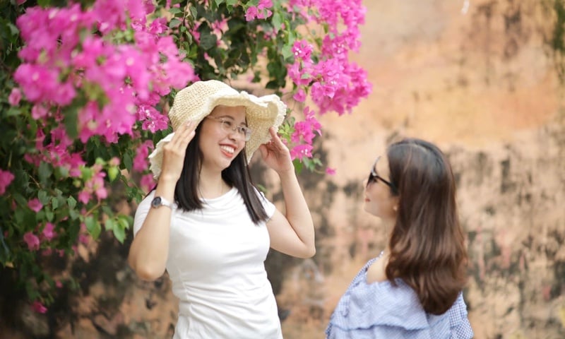 Con đường hoa giấy rực hồng giữa lòng phố biển