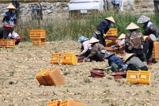 Hàn Quốc: Các ngân hàng tiết kiệm đẩy mạnh thâm nhập thị trường tài chính cho người nước ngoài