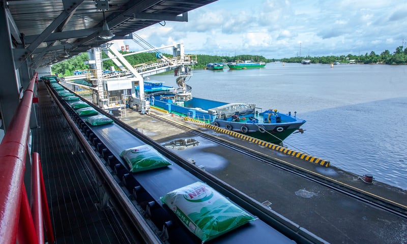 Phân bón Cà Mau 2025: Vượt 'gió ngược' nhờ năng lực nội sinh