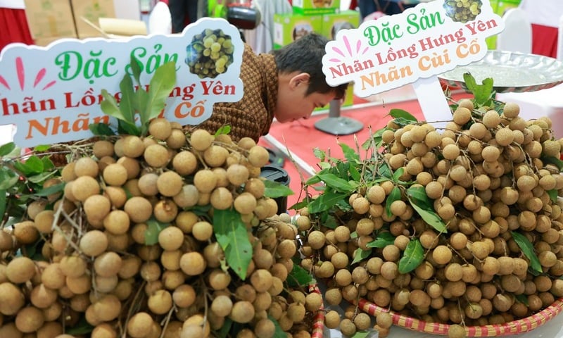 Ảnh bài viết