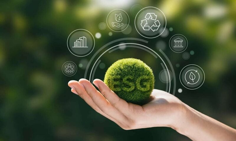 Hướng tới Net Zero, doanh nghiệp tăng tốc đổi mới và tái cấu trúc