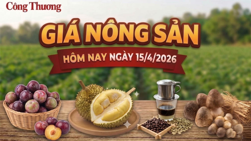 Giá nông sản hôm nay 15/4/2026: Các mặt hàng có xu hướng tăng