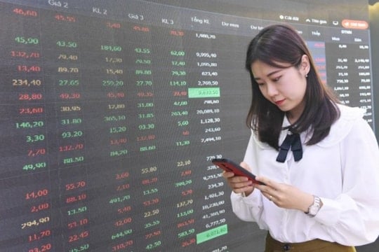 Kịch bản chứng khoán phiên 24/11: Tiếp tục rung lắc mạnh nhưng dòng tiền quay lại bất ngờ