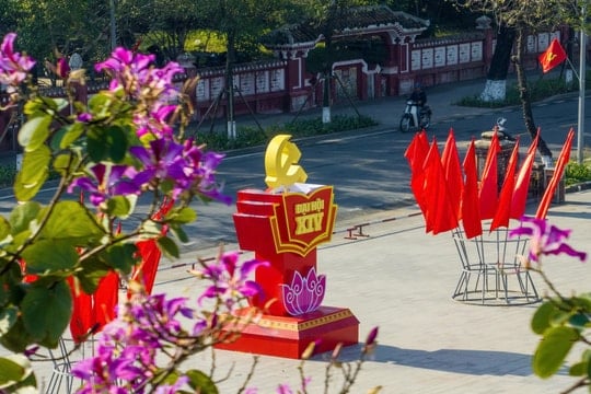 Rực rỡ cờ, hoa chào mừng Đại hội XIV của Đảng