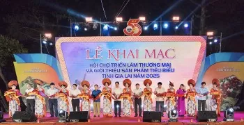 Ảnh bài viết