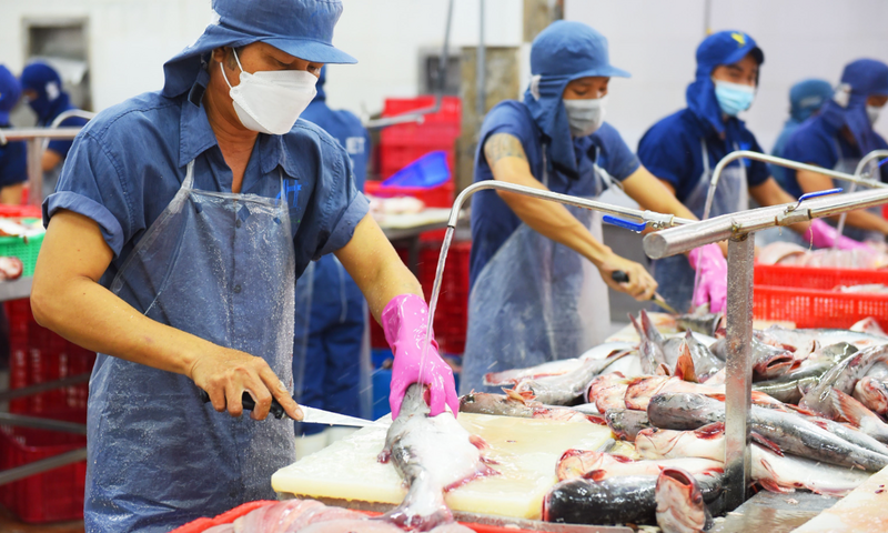 RCEP tạo 'làn gió mới' cho xuất khẩu cá tra Việt Nam