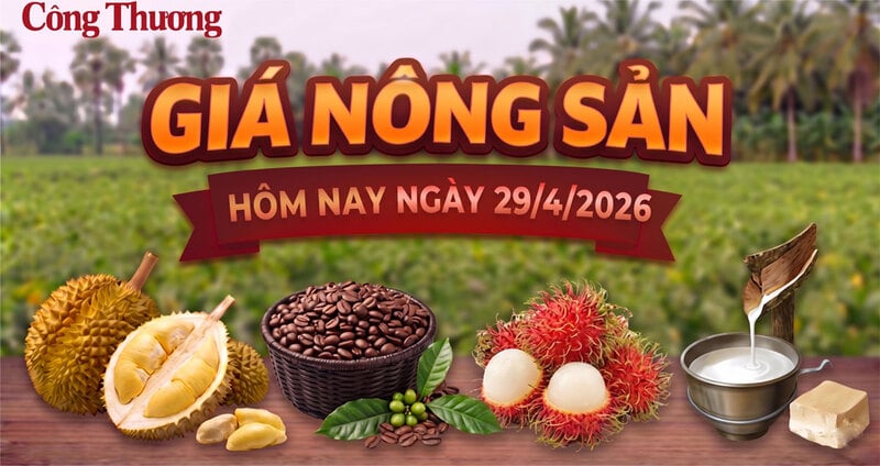 Giá nông sản hôm nay, ngày 29/4: Thị trường tăng, giảm trái chiều