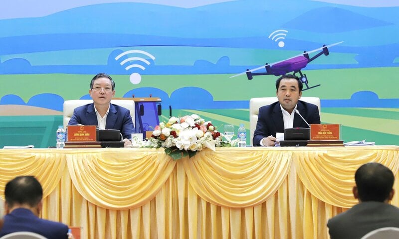 Định giá nông sản Việt: Cần sàn giao dịch hàng hóa quốc gia