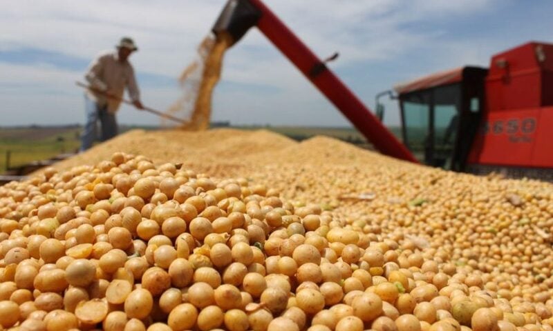 Giá đậu tương tăng hơn 2% lên 442 USD/tấn
