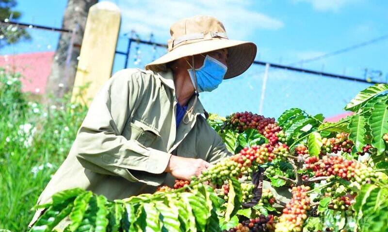 Ảnh bài viết