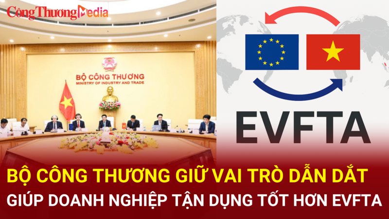Ảnh bài viết