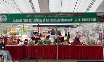 Hội chợ xúc tiến thương mại hợp tác xã khu vực miền Nam 2025 mở rộng kết nối giao thương