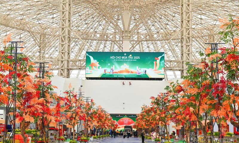 Ảnh bài viết