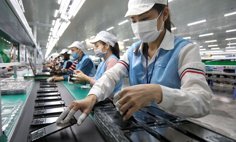Ngành hàng chục tỷ USD tìm hướng đi chiến lược trong RCEP