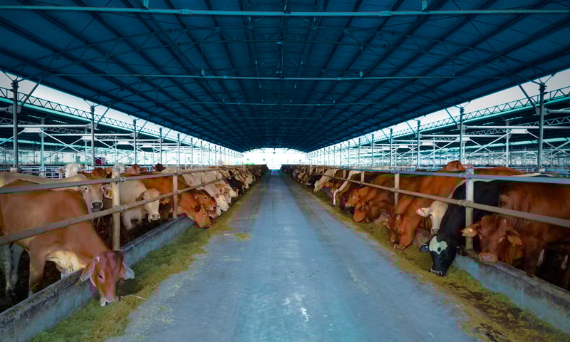 Phát triển vốn thứ cấp, doanh nghiệp nông nghiệp IPO 30 triệu cổ phiếu