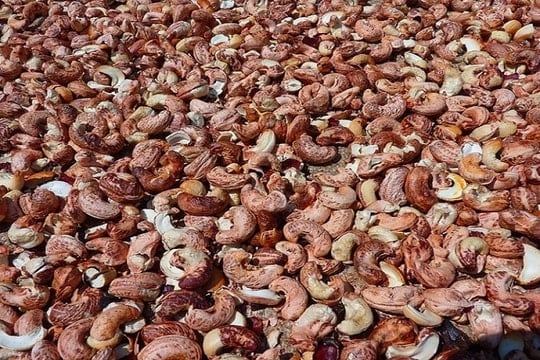 Xuất khẩu điều số 1 thế giới, thị trường nội địa vẫn lép vế