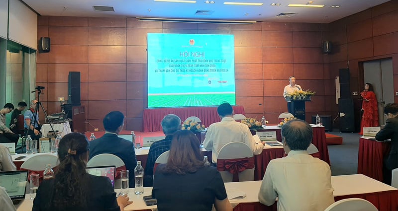 Ảnh bài viết