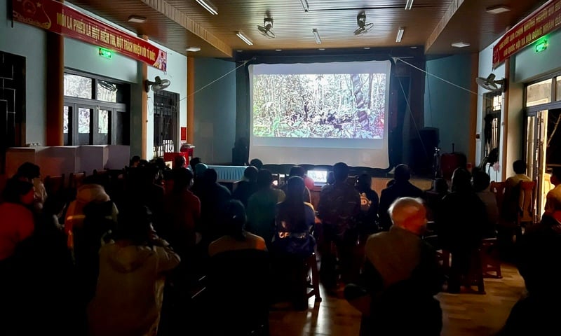 Đà Nẵng chiếu phim lưu động tuyên truyền về ngày hội bầu cử