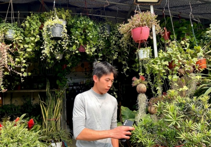 Hà Nội: Phố hoa, cây cảnh rộn ràng không khí Tết