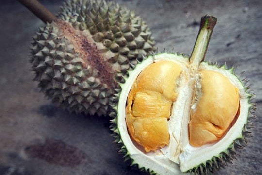 Giá sầu riêng hôm nay 12/11/2025: Ổn định tại các vùng trồng, xuất khẩu tiếp tục khởi sắc