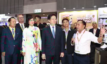 Ảnh bài viết