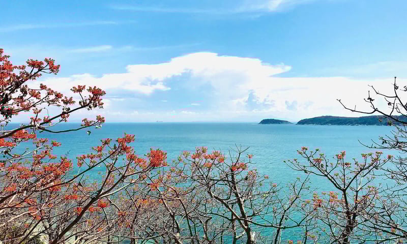 Ảnh bài viết