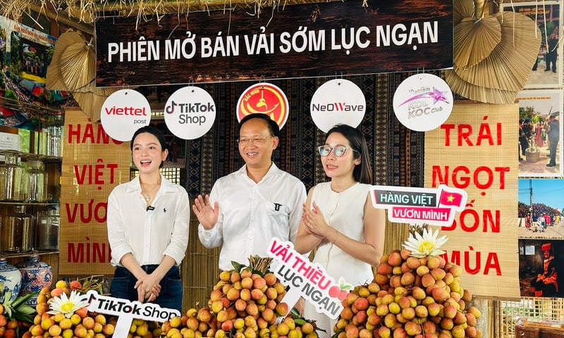 Ảnh bài viết