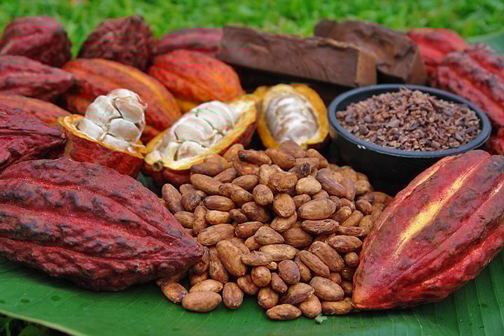 Ảnh bài viết