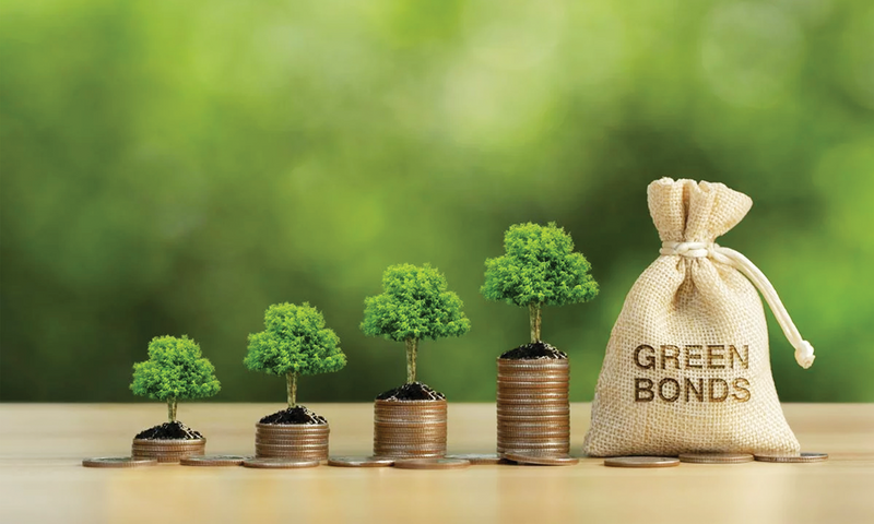Trái phiếu xanh: Mở lối huy động vốn dài hạn cho nhà băng