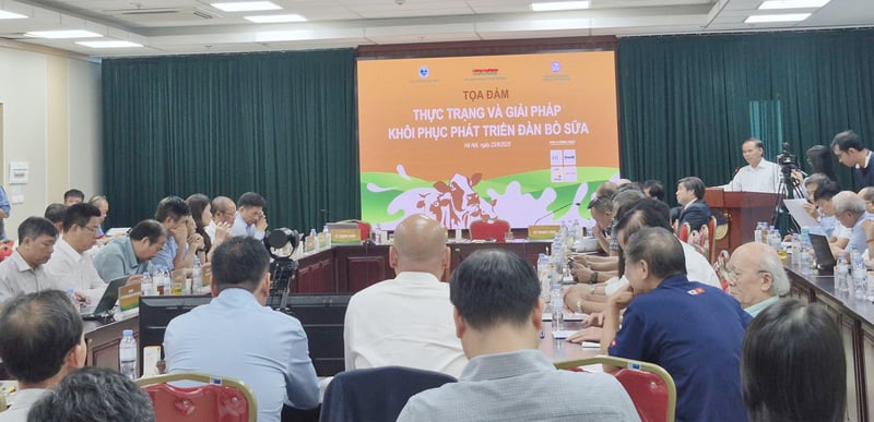 Ảnh bài viết