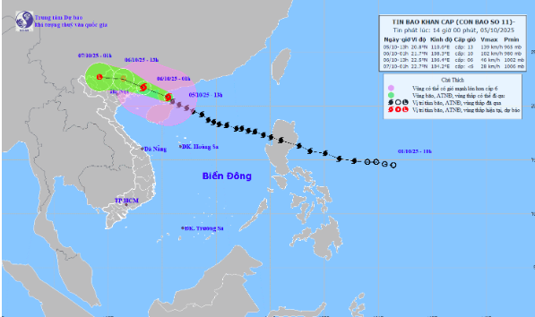 Ảnh bài viết