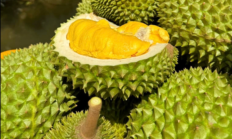 Ảnh bài viết