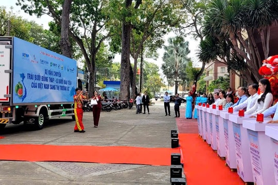 Lô bưởi da xanh đầu tiên xuất chính ngạch sang Australia