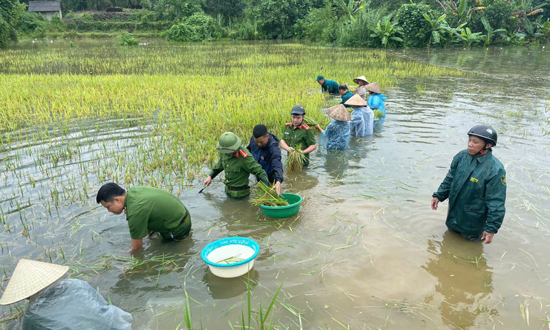 Ảnh bài viết