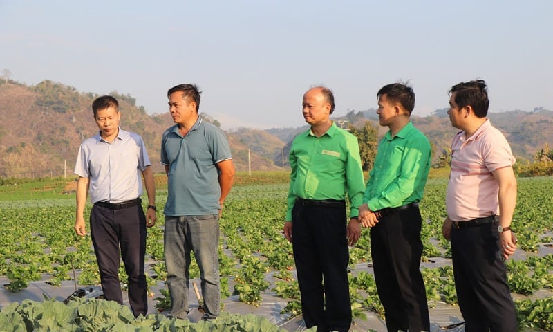 Tiến Nông đồng hành cùng nhà phân phối chuyển đổi từ hộ kinh doanh lên doanh nghiệp