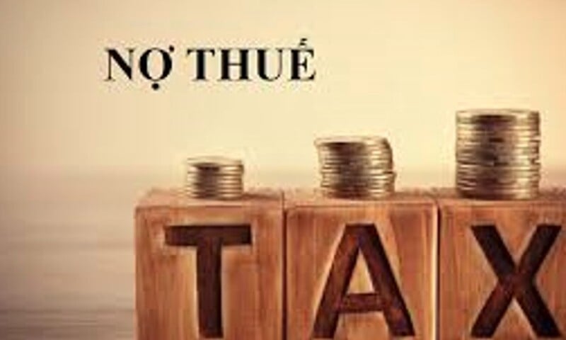 Cà Mau: Cưỡng chế thuế, ngừng sử dụng hóa đơn 3 doanh nghiệp