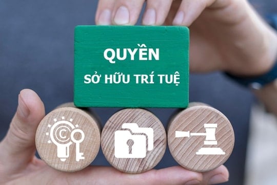 Ảnh bài viết