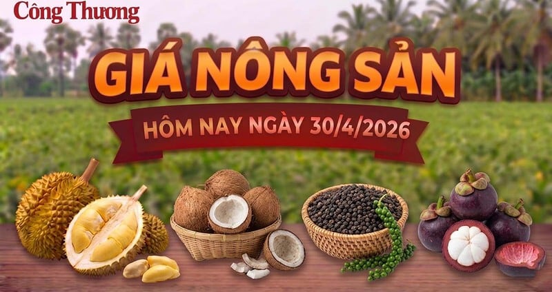 Giá nông sản hôm nay, ngày 30/4: Nhiều mặt hàng có mức giá tốt