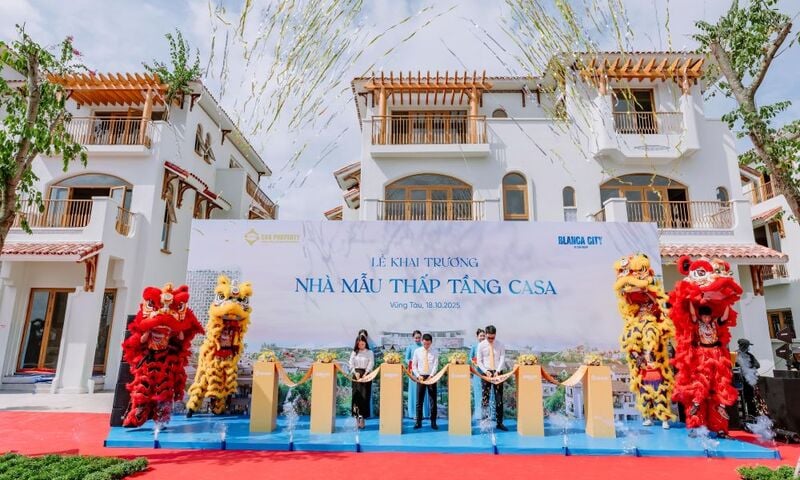 Ảnh bài viết