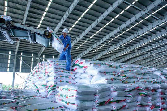 Đạm Cà Mau hoàn thành 67% kế hoạch lợi nhuận sau quý I, “vượt gió” nhờ năng lực nội sinh