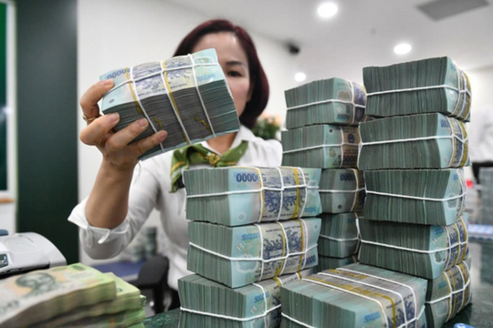 Tiền gửi tiết kiệm giữ vai trò thanh khoản quan trọng