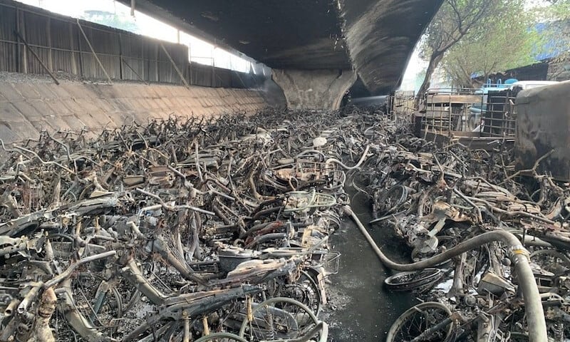 Ảnh bài viết